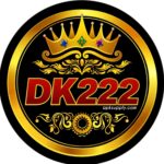 dk222 game logo
