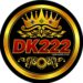 dk222 game logo