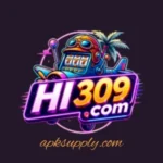 HI309 Game